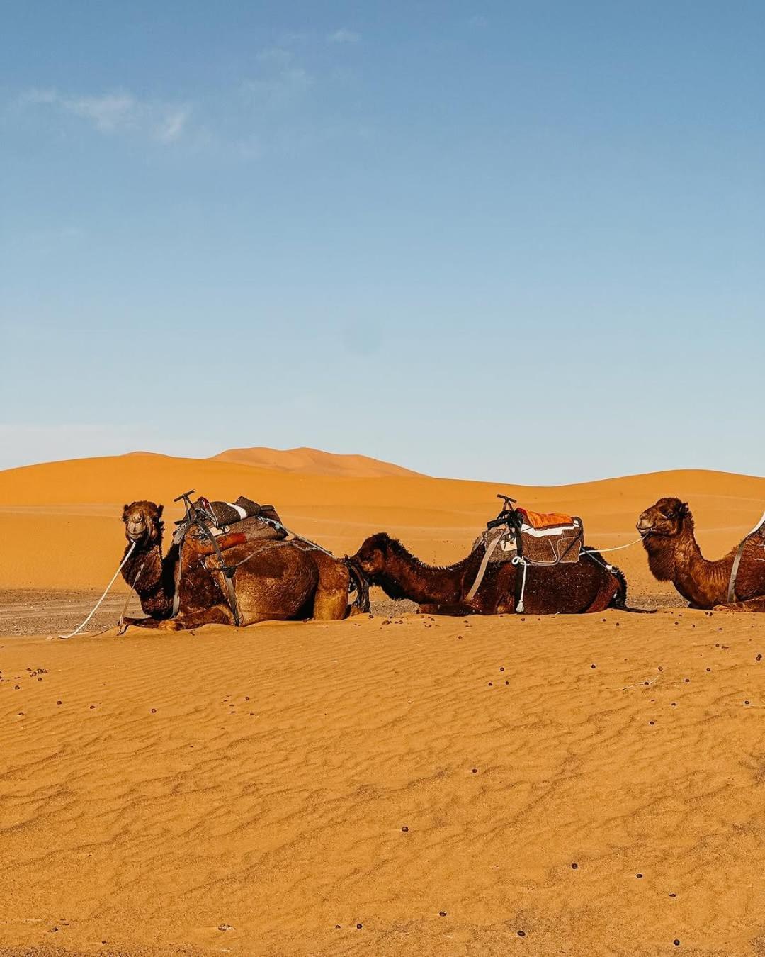 Merzouga Morocco Desert Luxury Camp Buitenkant foto
